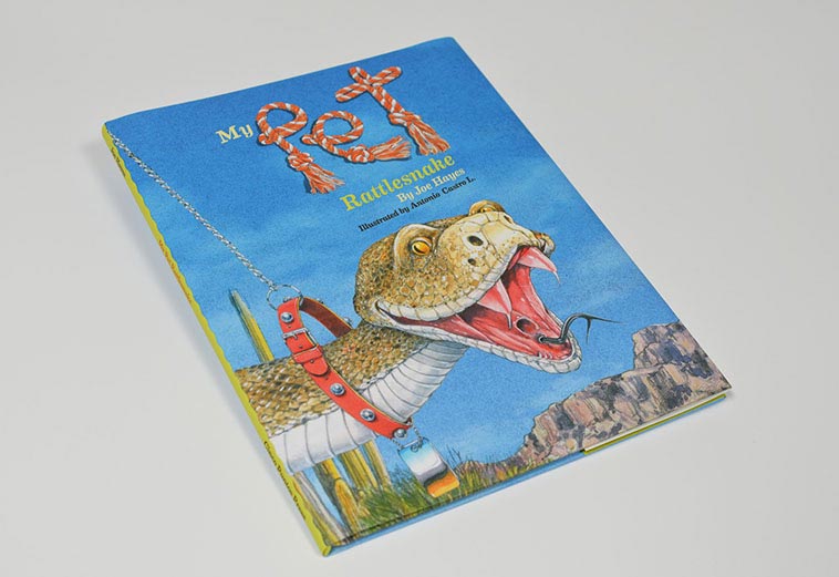 Cover and book design for Cinco Puntos Press, illustrations by Antonio Castro L.`